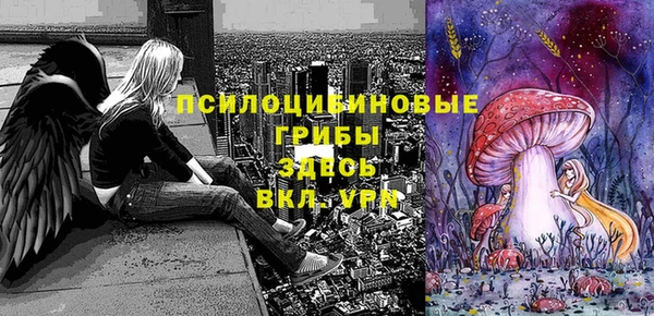 2c-b Алзамай
